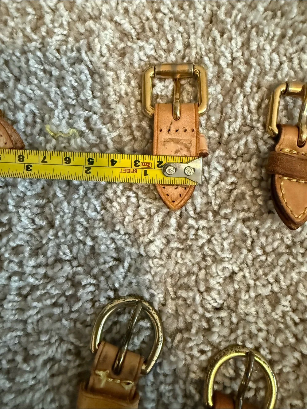 Louis Vuitton bag Buckle